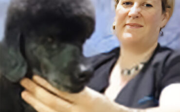 British Groomer of the Year 2004