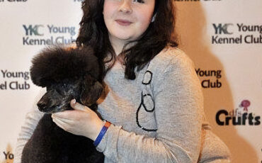 YKC Groomer of the Year 2011!