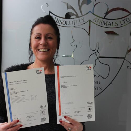 city and guilds certificate