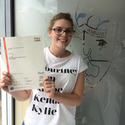 city and guilds certificate