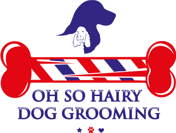 Dog Groomer Success Story – Oh So Hairy Dog Grooming