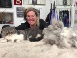 Moulding Comb Finish