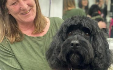 Jola and Spooky the Cockerpoo 2020 Review