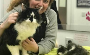 Sarah and Splodge’s Cat Story 2020