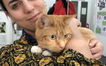 Luisa Stravino  2019