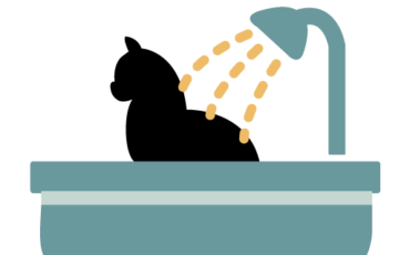 The Staff Were So… And the Results… Amazing.