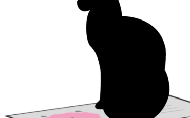 Theodore the Cat 2021