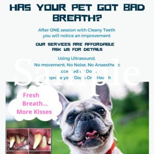 Double Sided A5 Leaflets