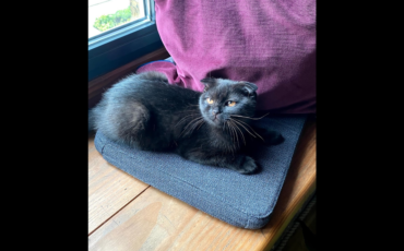 Review by Alessia Stroni