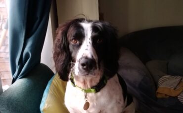 Kate and Charlie Review