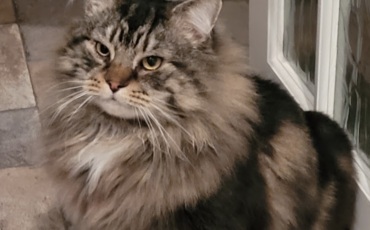 Review by Graham Watson