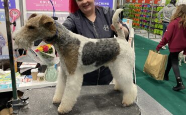 Absolutely Animals Stands Out at Crufts 2023