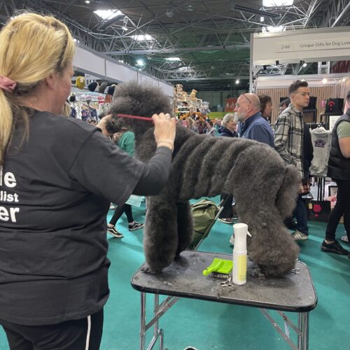 Photo 12-03-2023, 12 29 14