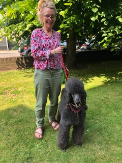 dog walking