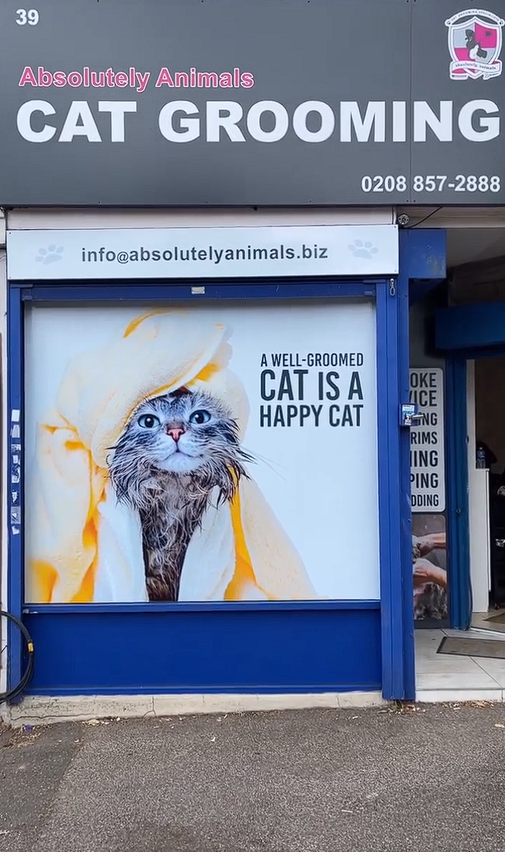 Absolutely Animals Cat Gooming Shop