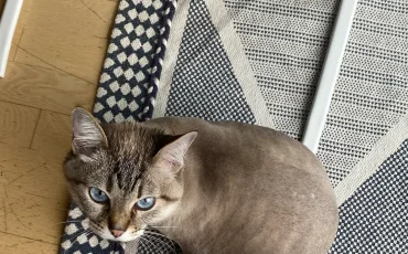 Review by Veronika 2024