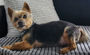 Review by Iwona 2024