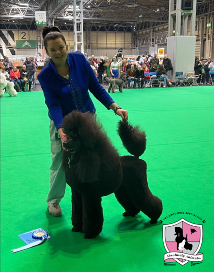 crufts-second-place-absolutely-animals