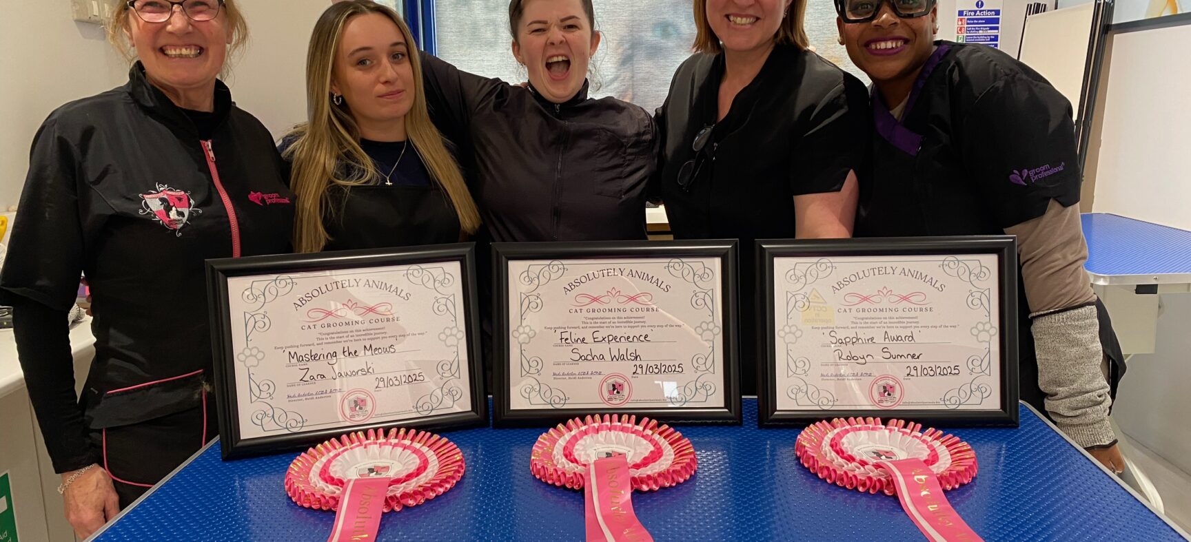 An Unforgettable Training Experience with a Truly Fabulous Team 2025