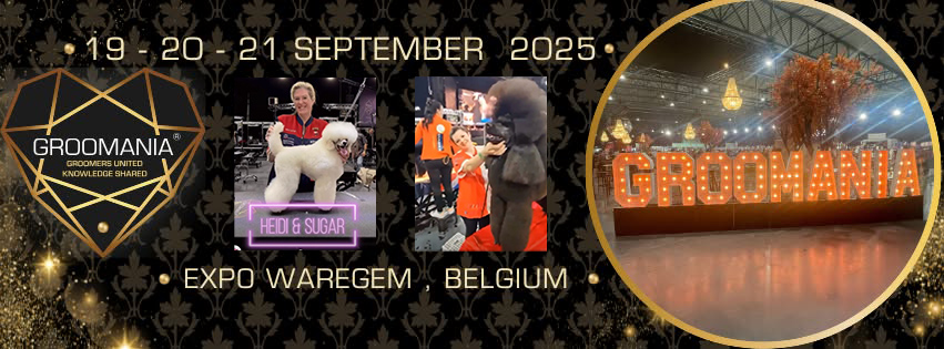 groomania-banner-2
