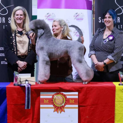 1st-place-grooming-award