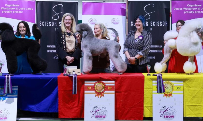 Heidi Anderton Judge