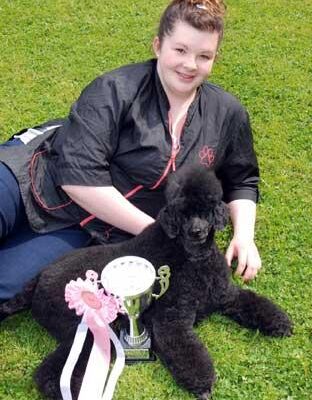 2010 toy poodle first place