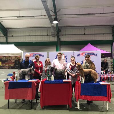 Callum Anderton for his 1st place in best up and coming groomer.