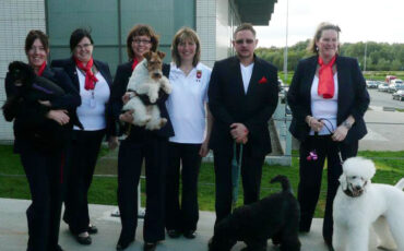 Groom Team England 5th Place – Belgium 2011