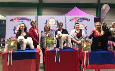 Celebrating Success at the BIGA Dog Grooming Show 2019