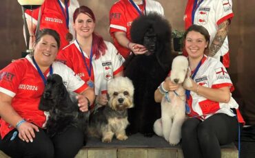 Groom Team England 6th Place – Belgium 2024